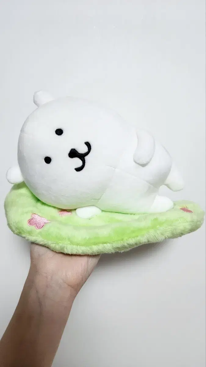 비플랏 농담곰 제습곰